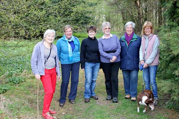 3 Bluebell walk with Pamela Waite, Julie Smith, Mary    Rushworth, Jane Johnston, Trish Vickers, Angie allen and Biba.jpg